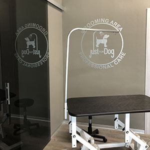 servizi wash dog Lido di Camaiore